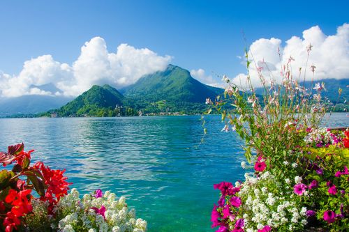 Foto: Seeblick und Sommerblumen